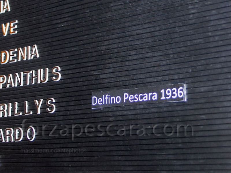 Fumata bianca: la "Delfino Pescara 1936" si è definita e parteciperà all'asta, foto 1