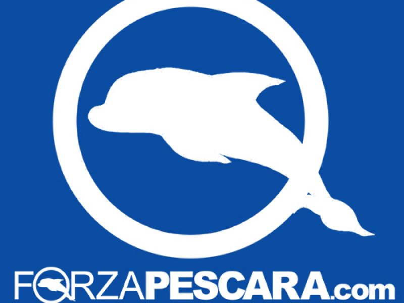 Modifiche al regolamento di ForzaPescara.com, foto 1