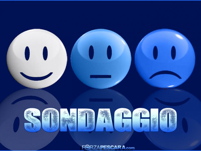 Sondaggio: le principali responsabilità del momento del Pescara., foto 1