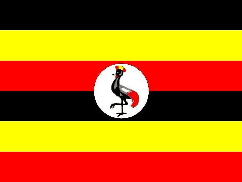 News societarie: blitz di Jany Minesh a Pescara, foto 1