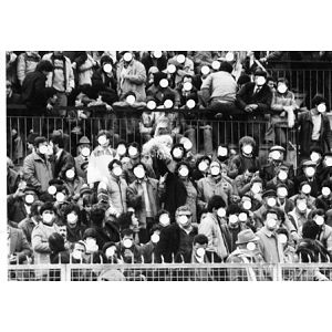 Foto tifosi