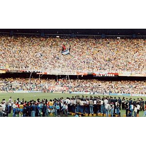 Foto tifosi