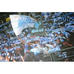 Foto tifosi