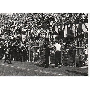 Foto tifosi