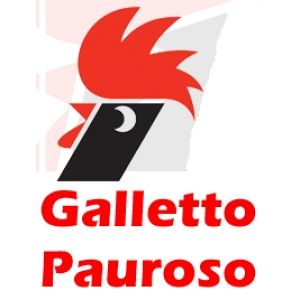 Foto tifosi