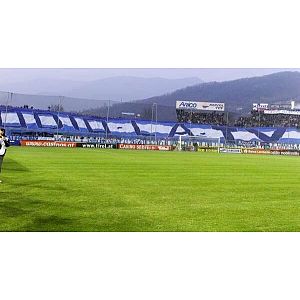 Foto tifosi