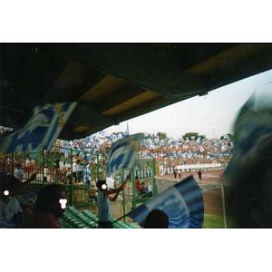 Foto tifosi