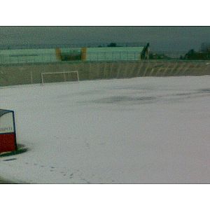 Foto tifosi