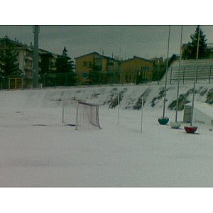 Foto tifosi
