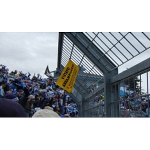 Foto tifosi