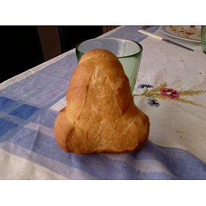 Foto tifosi