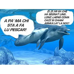 Foto tifosi