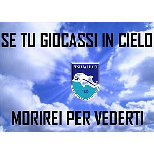 Foto tifosi