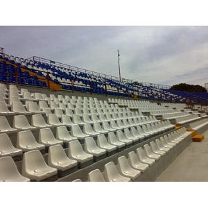 Foto tifosi