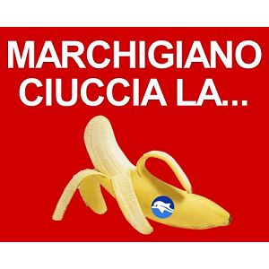 Foto tifosi