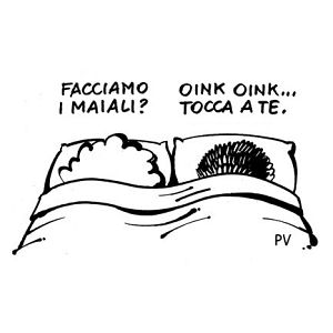 Foto tifosi