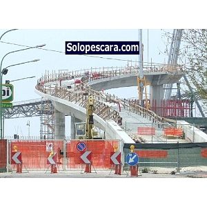 Foto tifosi