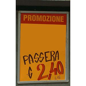Foto tifosi