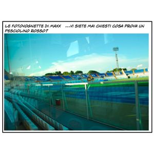 Foto tifosi