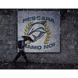 Foto tifosi