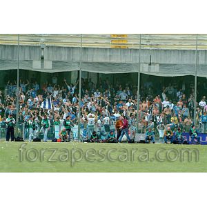Foto tifosi