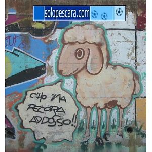 Foto tifosi