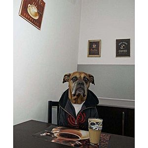Foto tifosi