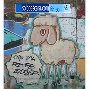 Foto tifosi