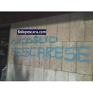 Foto tifosi