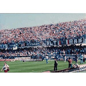 Foto tifosi