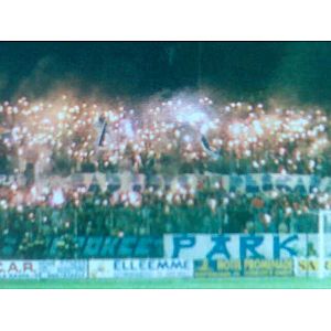 Foto tifosi