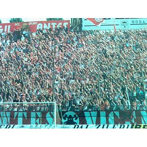 Foto tifosi