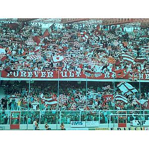 Foto tifosi