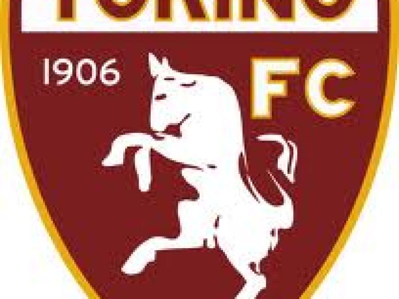 Prossima avversaria: TORINO, foto 1