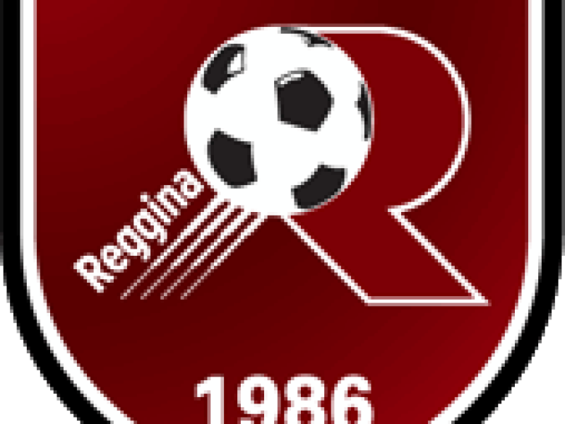 Prossima avversaria: REGGINA, foto 1