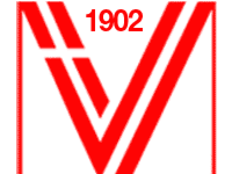 Prossima avversaria: VICENZA, foto 1