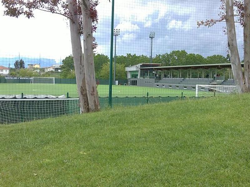 Novità dal Poggio degli Ulivi, foto 1