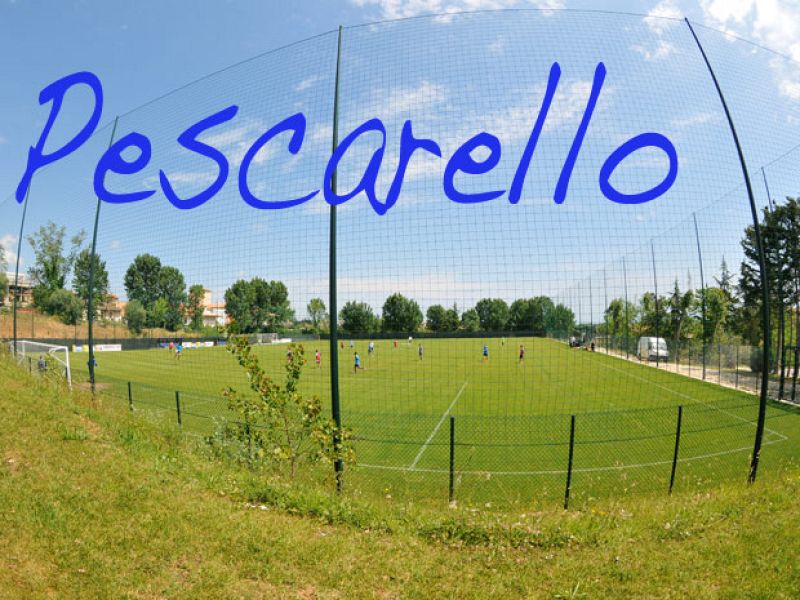 Novità dal Poggio degli Ulivi, foto 1