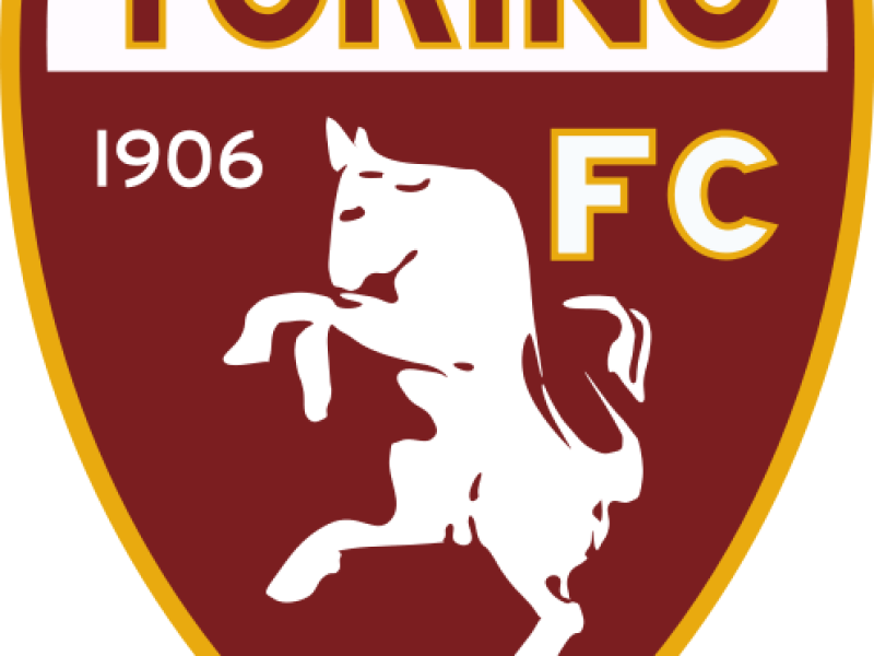 Prossima avversaria: TORINO, foto 1