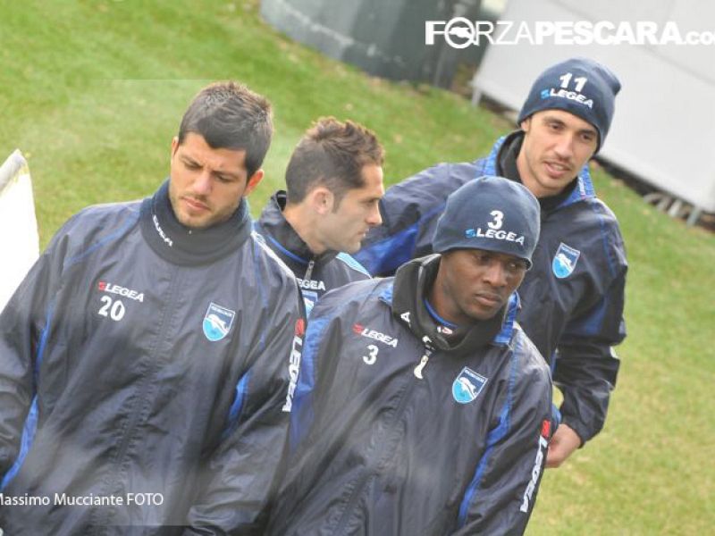 Novità dal Poggio degli Ulivi, foto 1