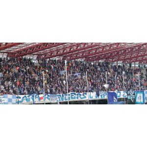 Foto tifosi