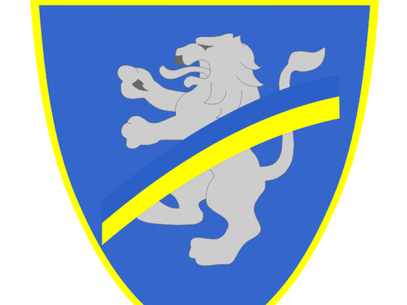 Prossima avversaria: FROSINONE, foto 1