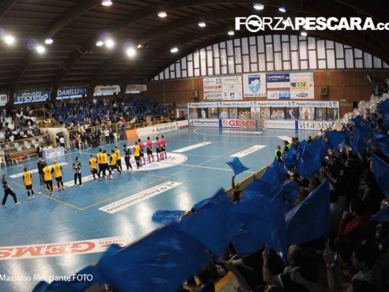 VIENI CON NOI !!!!!! I TUOI COLORI HANNO BISOGNO DI TE., foto 1