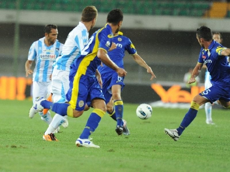 On line servizio fotografico di Verona-Pescara 1-2, foto 2