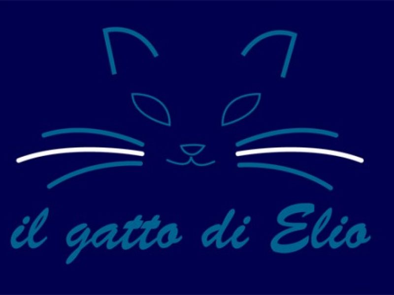 Le valutazioni del "Gatto di Elio", foto 1