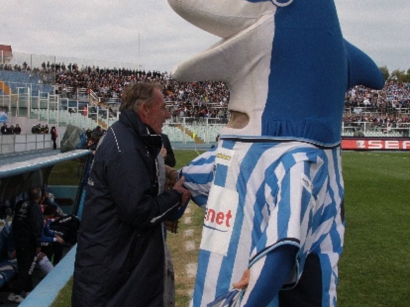 Aggiornamento galleria fotografica, foto 2