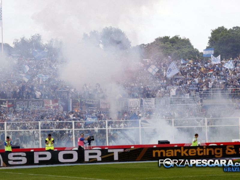 Il Delfino deve tornare a nuotare, foto 1