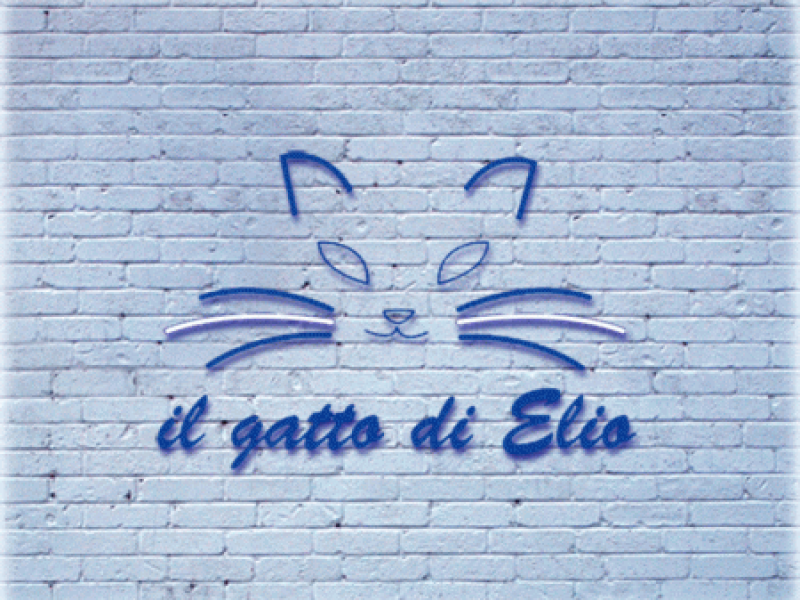 <b> IL MURO DEI MATTONI</B>, foto 1