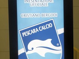 Presentazione Bergodi