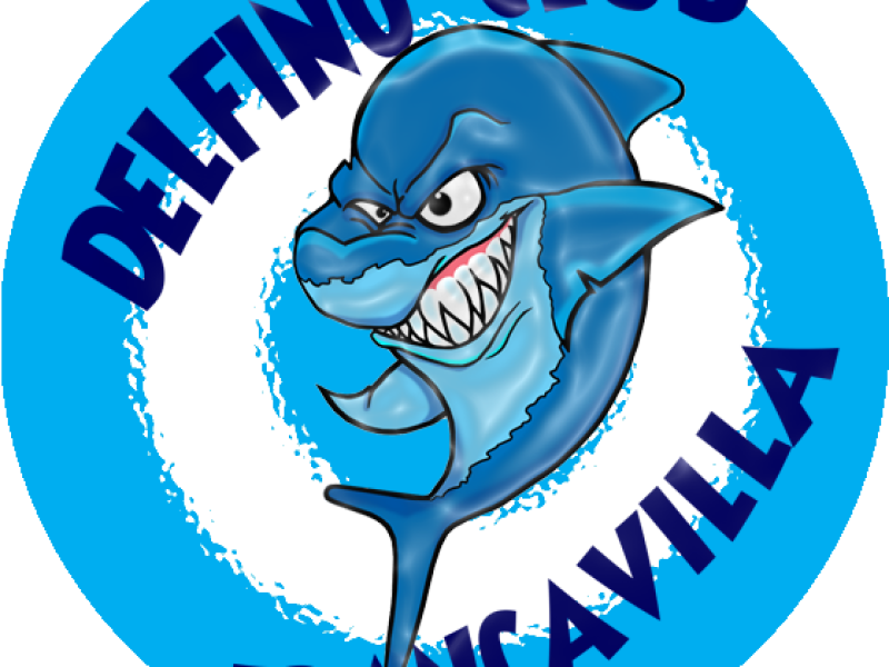 Nasce il Delfino Club Francavilla, foto 1